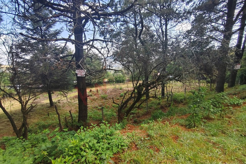 ¡invierte En Grande! Terreno Con Gran Potencial En El Corazón Del Ajusco: 2257 M2