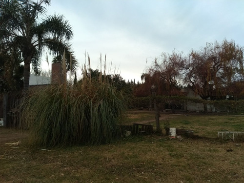 Imagen 3 de 7 de Casa Con Terreno En Roldan