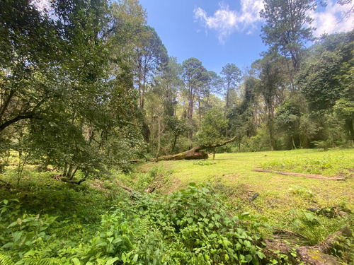 Terreno En Venta Circuito Avándaro