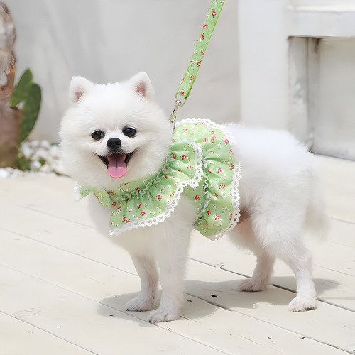 Pechera Arnés Mochila Con Correa Para Perro Gato