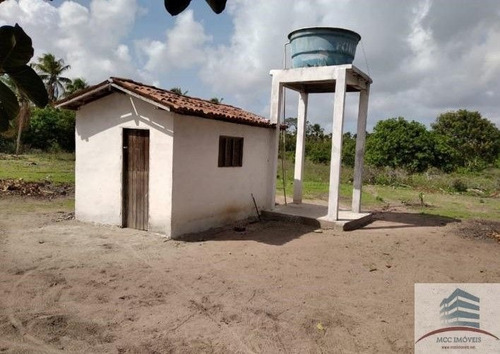 Imagem 19 de 20 de Granja Mobiliada A Venda Lagoa Do Bonfim