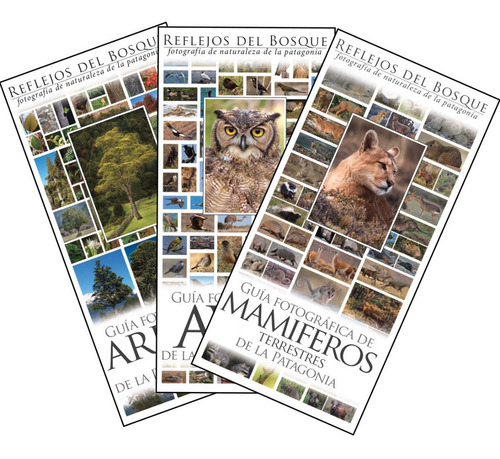 Imagen 2 de 10 de 3 Guías Fotograficas De Naturaleza De La Patag. A Elección