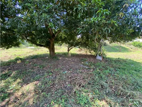 Venta De Lote Independiente En Sopetran