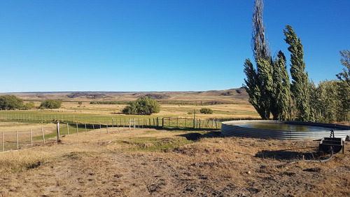 Campo - Rio Pico