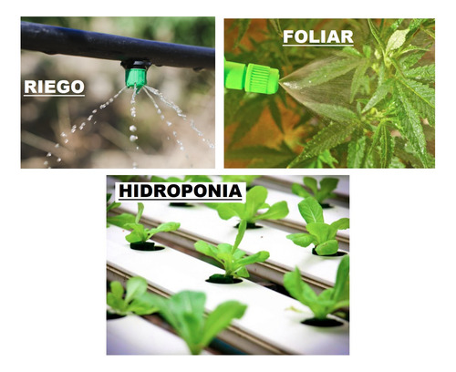 Fertilizante Hakaphos Verde (15-10-15) - Inicio Y Mantenimie