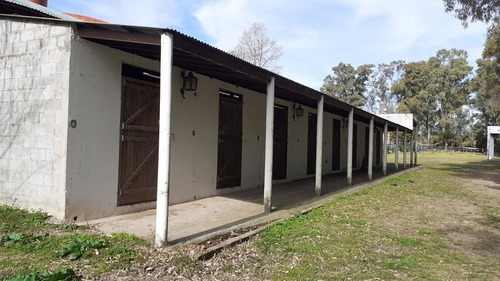 Campo C/ Caballerizas Y Casa Colonial - Villa Elisa