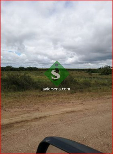 Venta De Campo En Treita Y Tres, 70 Hectareas Con Casa. - Ref: 168050