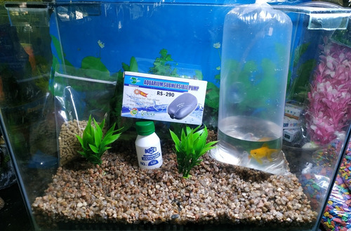 Kit Pecera Completa 50x35x20 Con 1 Pez De Regalo!