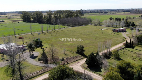 Lote En Venta 1 Hectárea En Loma Escondida, Open Door