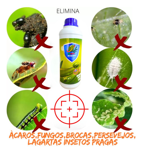 Óleo De Neem Nim Concentrado Puro Extrato 1 + Pulverizador
