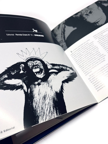 Revista Crann Número 11 Diseño Y Comunicación (Usado)