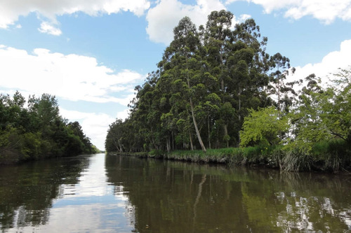 Imagen 11 de 16 de Venta Lote En Bahías Del Paraná - Chacra 4000 M2