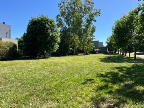 Venta Lote 941mts. - La Reserva Cardales - Campana