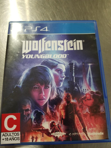 Wolfenstein Young Blood Ps4 Usado