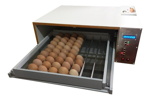Imagem 2 de 5 de Chocadeiras Automáticas Pioneira Plus Controle De Umidade