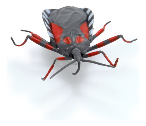 Hex Bots Nano Real Bugs, 5 Insectos Falsos, Mini Robots Nano Bugs Multicolor