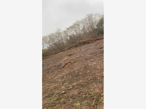 Imagen 9 de 12 de Terreno En Venta Ciudad General Terán