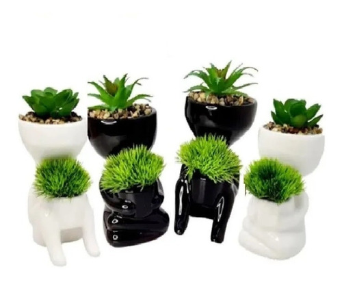Vaso Decorativo Suculentas Planta Bob Criativo 2 Cactus