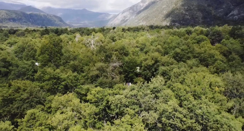 Terreno, Las Trancas, Terman De Chillán, A Pasos De Strip C
