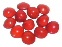Comprar Semillas De Pomba Gira\u002F Semilla De Amor \u002F Fava De Pomba Gira