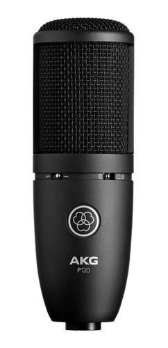 Imagen 4 de 9 de Micrófono Condenser Akg P120 Cardioide De Estudio Perception
