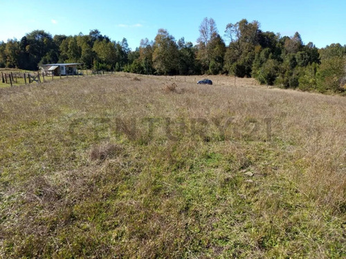 Parcela 5.000m2 | Sector Puquereo | Eje Freire-villarrica