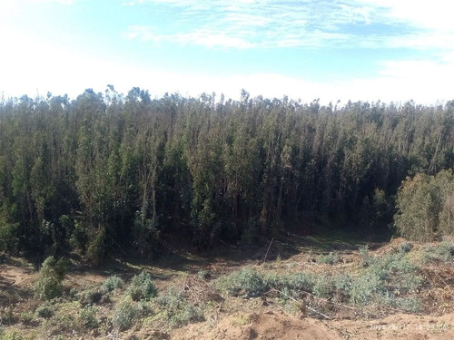 Sitio En Venta En Quintero