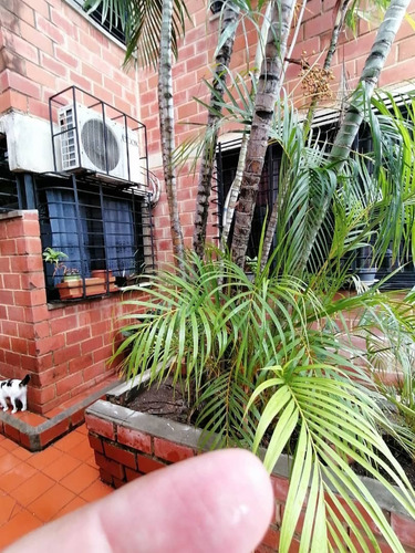 Imagen 5 de 8 de Apartamento En Venta Terrazas Del Este (0424-1671963)