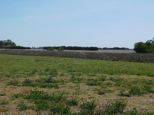 Imagen 15 de 27 de Lote - Venta - Praderas De Cardales - Alto Los Cardales - Zona Norte
