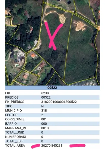 Rhbr-14483 (lote) (guarne)