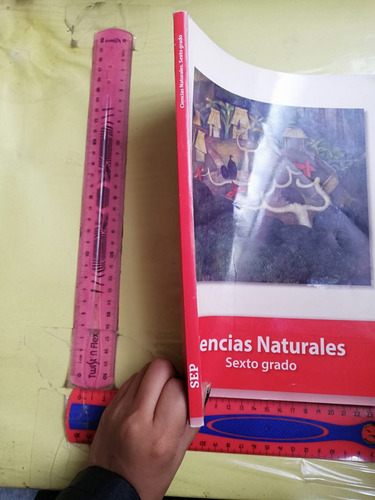 Ciencias Naturales 6 Grado Sep (Usado)
