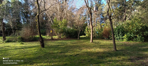 Imagen 2 de 3 de Lote De Terreno En El Sosiego
