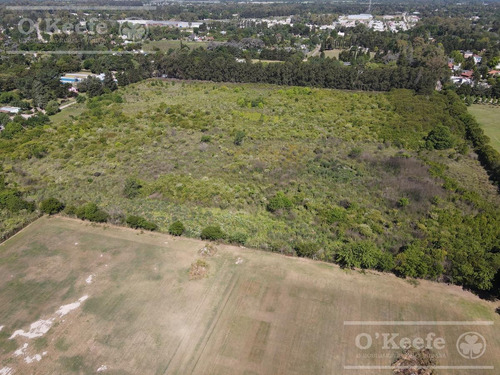 Imagen 2 de 12 de Único Terreno Para Desarrollo En Zona Ya Consolidada ! - Superficie Total 7.7 Has - Apto Loteo
