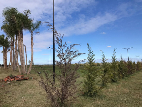 Venta. Lote. Barrio Semi Cerrado.  En El Lazo Capilla Del Señor. 