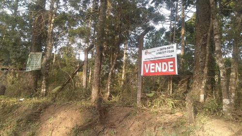 Imagem 3 de 15 de Chácara Para Venda Em Campina Grande Do Sul, Imbuial - 00292_2-1224372