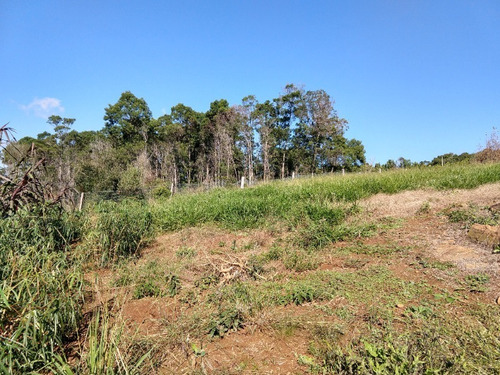 Chácara 20.000 M² - Lomba Grande - Novo Hamburgo - Rs - 1819 - 32578114