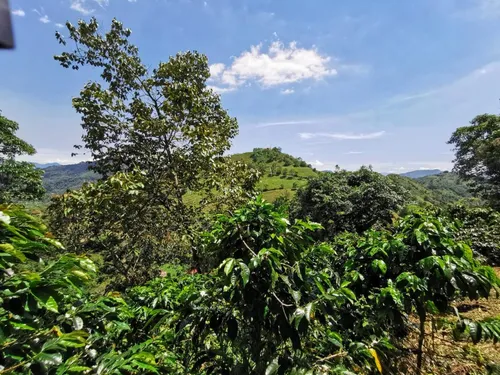 Venta De Finca En Vereda Burocaima