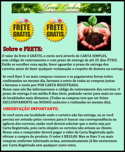 Tarumã Uva Do Cerrado - Sementes Fruta Arvore Nativa P/ Muda