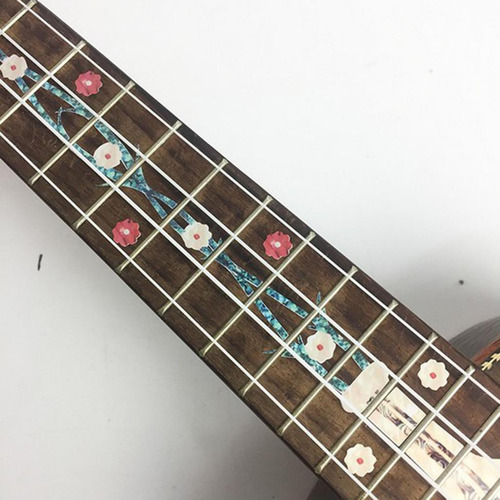 Calcomanías De Guitarra Eléctrica Diapasón Etiqueta