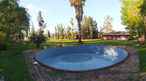 Imagen 6 de 10 de Servicio Integral De Piscinas Desagote Lijada Pintada Y Mas.