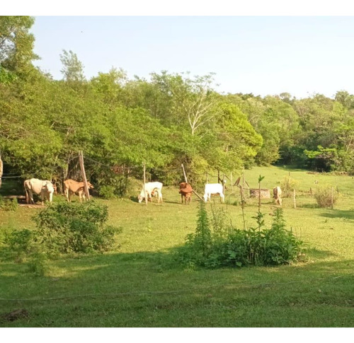 Vendo / Permuto Hermosa Chacra Con Casa - Colonia Alberdi - Misiones