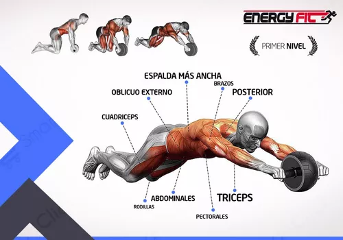 Maquina de Ejercicios - Rueda Abdominal - Fitneess