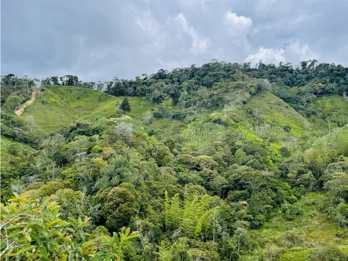 Se Vende Finca De 7 Hectáreas En San Roque, Antioquia