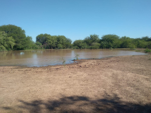Imagen 8 de 19 de Estancia El Porvenir 200 Hectáreas Juan José Castelli