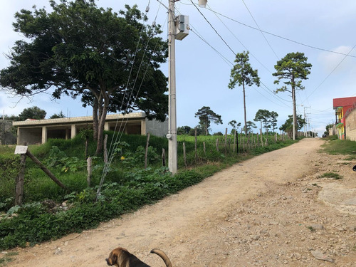 Lote En Venta En Comitan