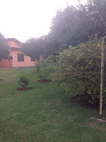 Rural - Venda - Cafezal 5 - Cod. 499 - V499