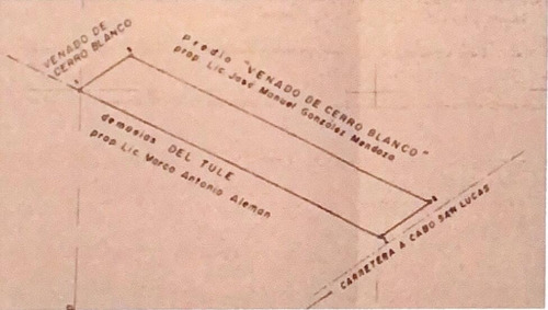 Km 23 Sjd-csl Carr. Transpeninsular, Venado Del Cerro Blanco