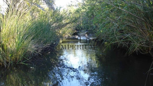Venta, Campo 98 Hectáreas En Sierras De Carapé