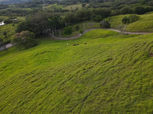 Lote En Venta En Yurupary. Cod V12710