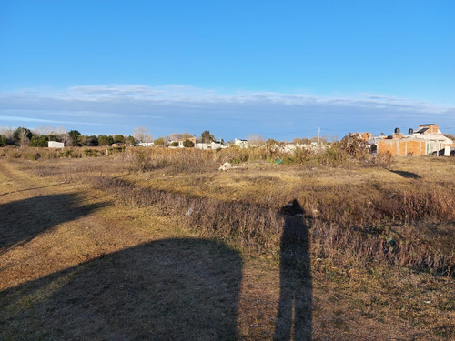 Imagen 5 de 7 de Lote Grande, Zona En Auge , Ideal Dos Familias O Gran Casa - Inversion Segura.
